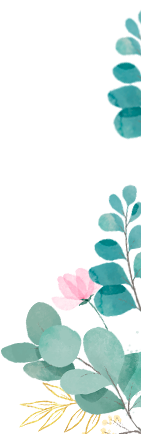 decoración